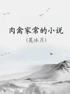 肉禽家常的小说
