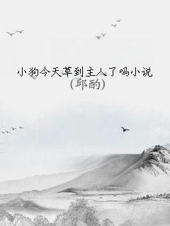 小狗今天草到主人了吗小说