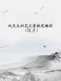 林先生的花式管教笔趣阁