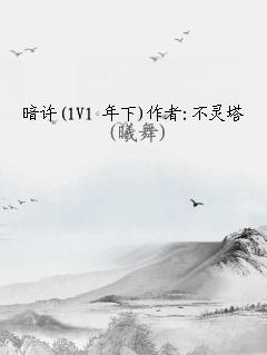 暗许(1V1 年下)作者:不灵塔