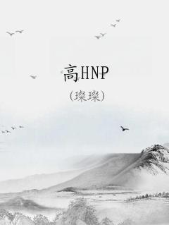 高HNP