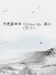 肉便 所