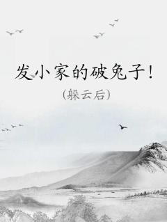 发小家的破兔子