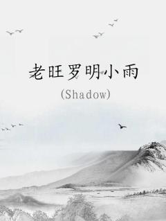 老旺小说主角