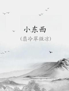 小东西小说