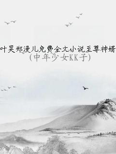 至尊神婿叶昊郑漫儿小说全集3261章