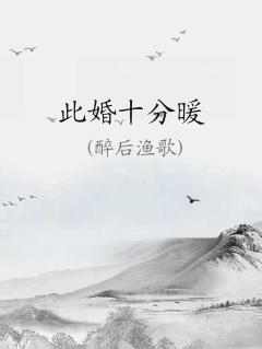 此婚十分暖TXT下载