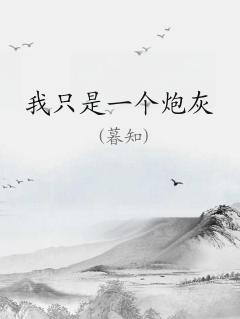 我只是一个炮灰呀