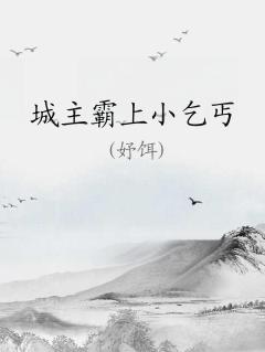 城主霸上小乞丐 小说