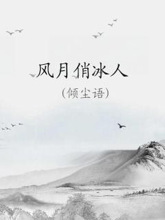 风月俏佳人解析