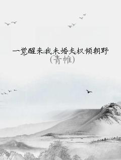 一觉醒来我未婚夫权倾朝野 青帷讲什么
