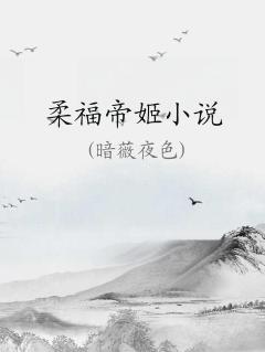 柔福帝姬小说书评