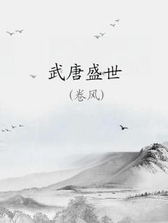 武唐盛世 聚合中文网