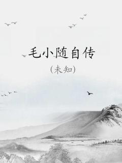 穿越毛小方