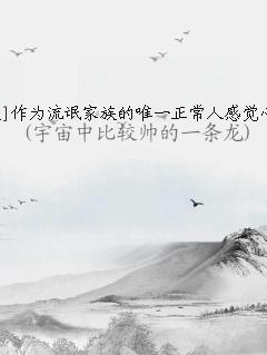 流氓贵族小说